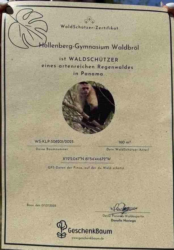 Regenwaldkauf 2 b